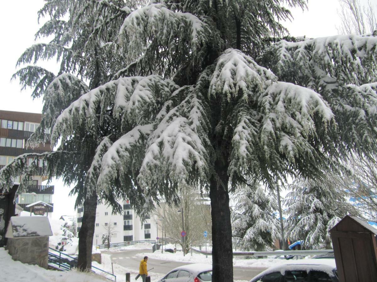 סיירה נבדה Studio Sueno Nevado Deluxe Ecomomic מראה חיצוני תמונה